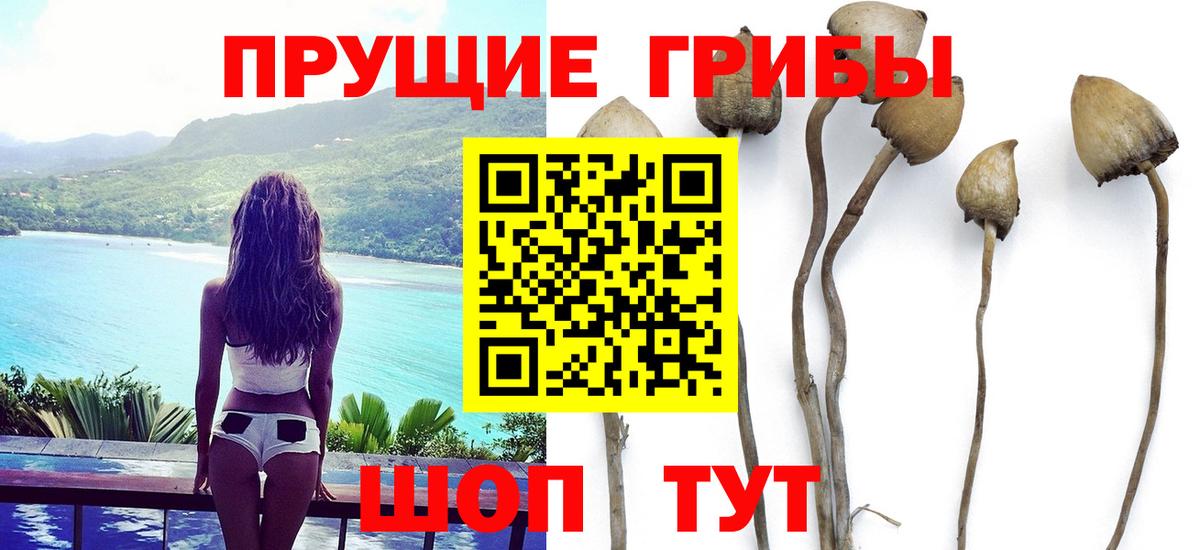 Галлюциногенные грибы MAGIC MUSHROOMS  Вход с VPN  Евпатория 